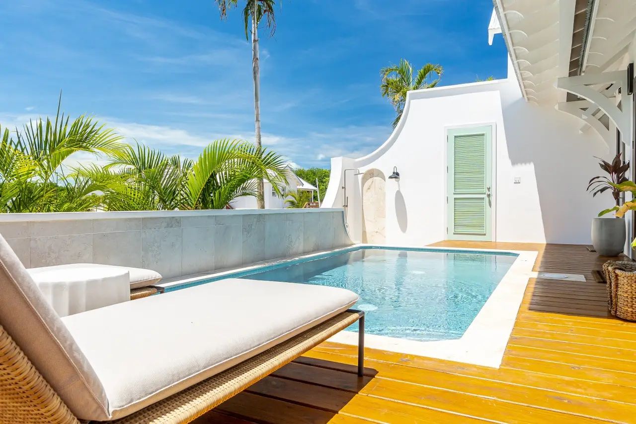 Palms 13