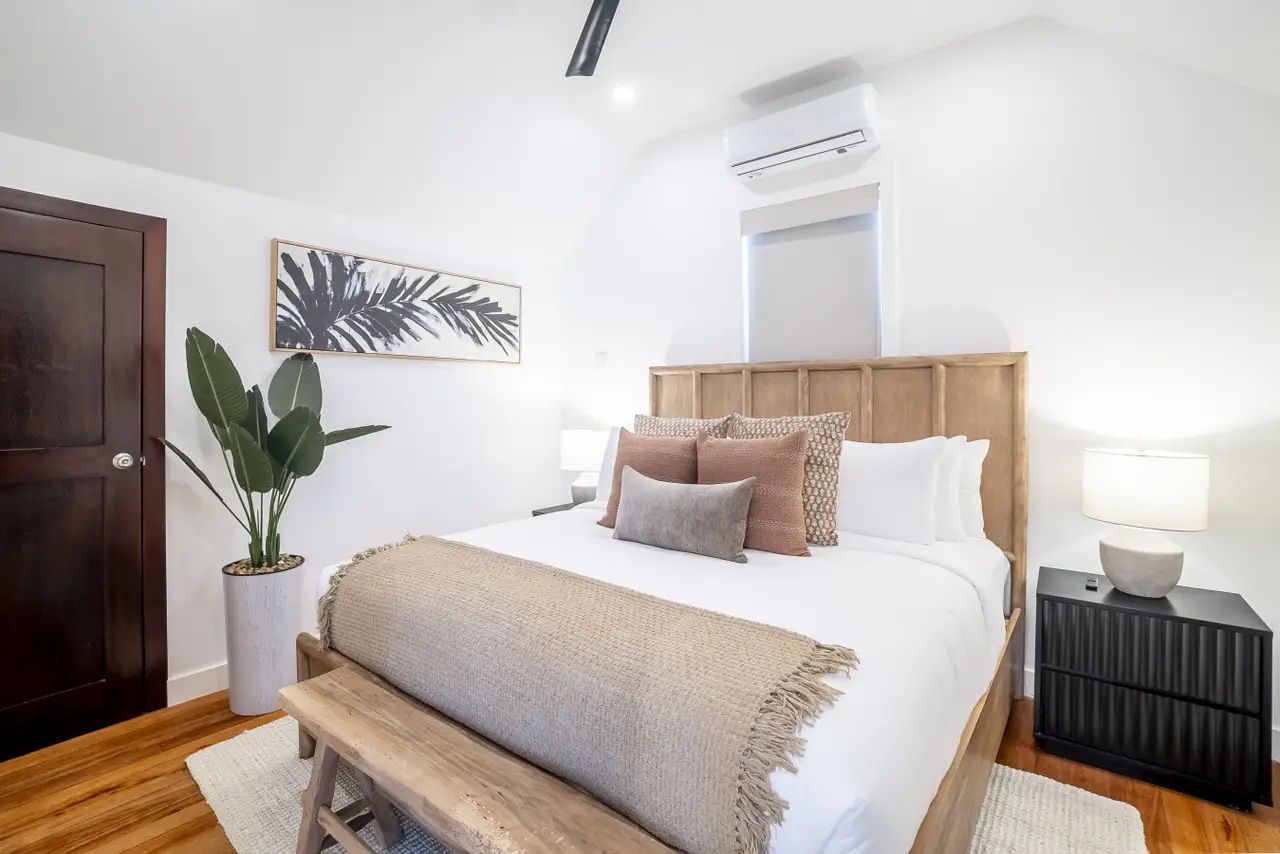 Palms 24