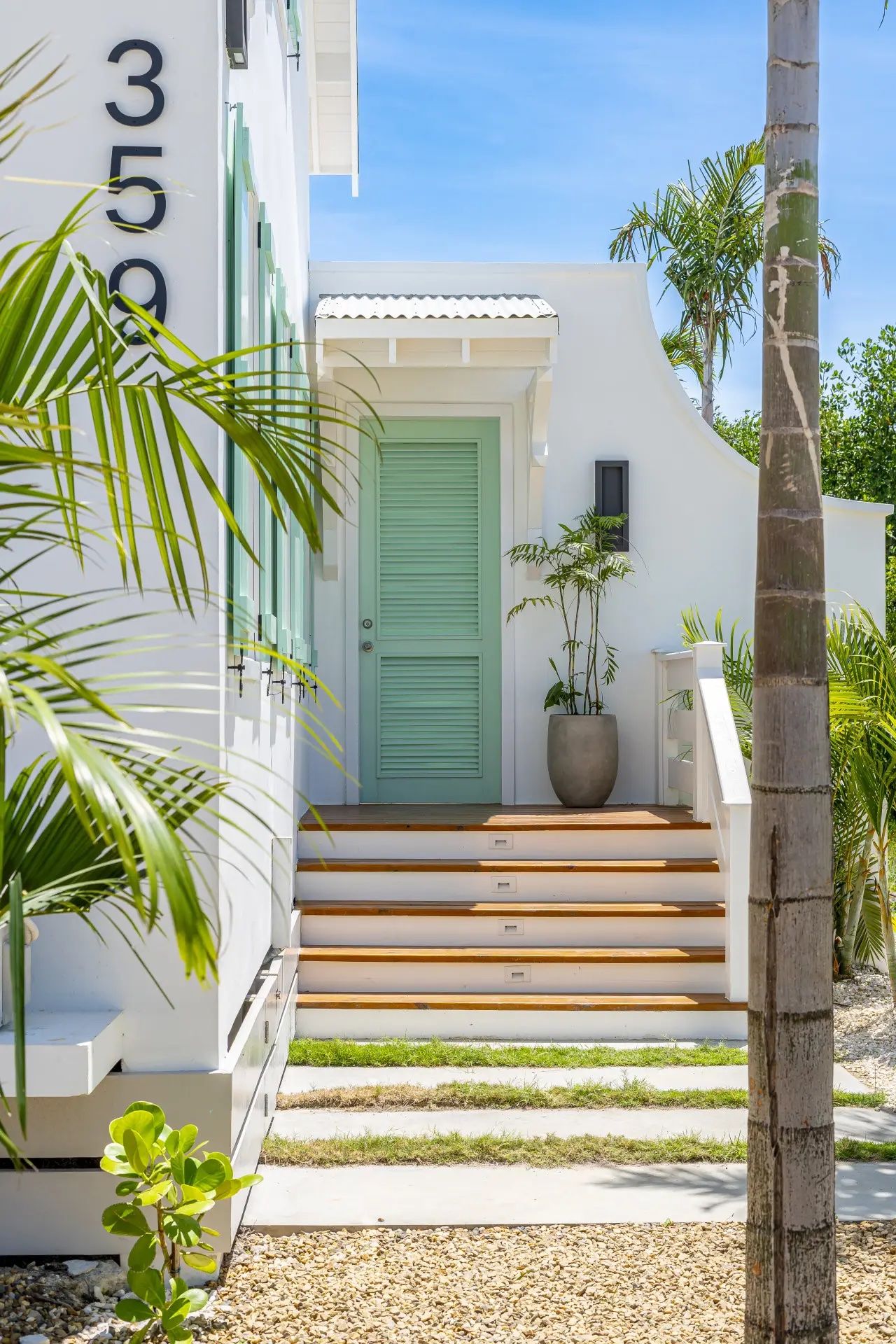Palms 28