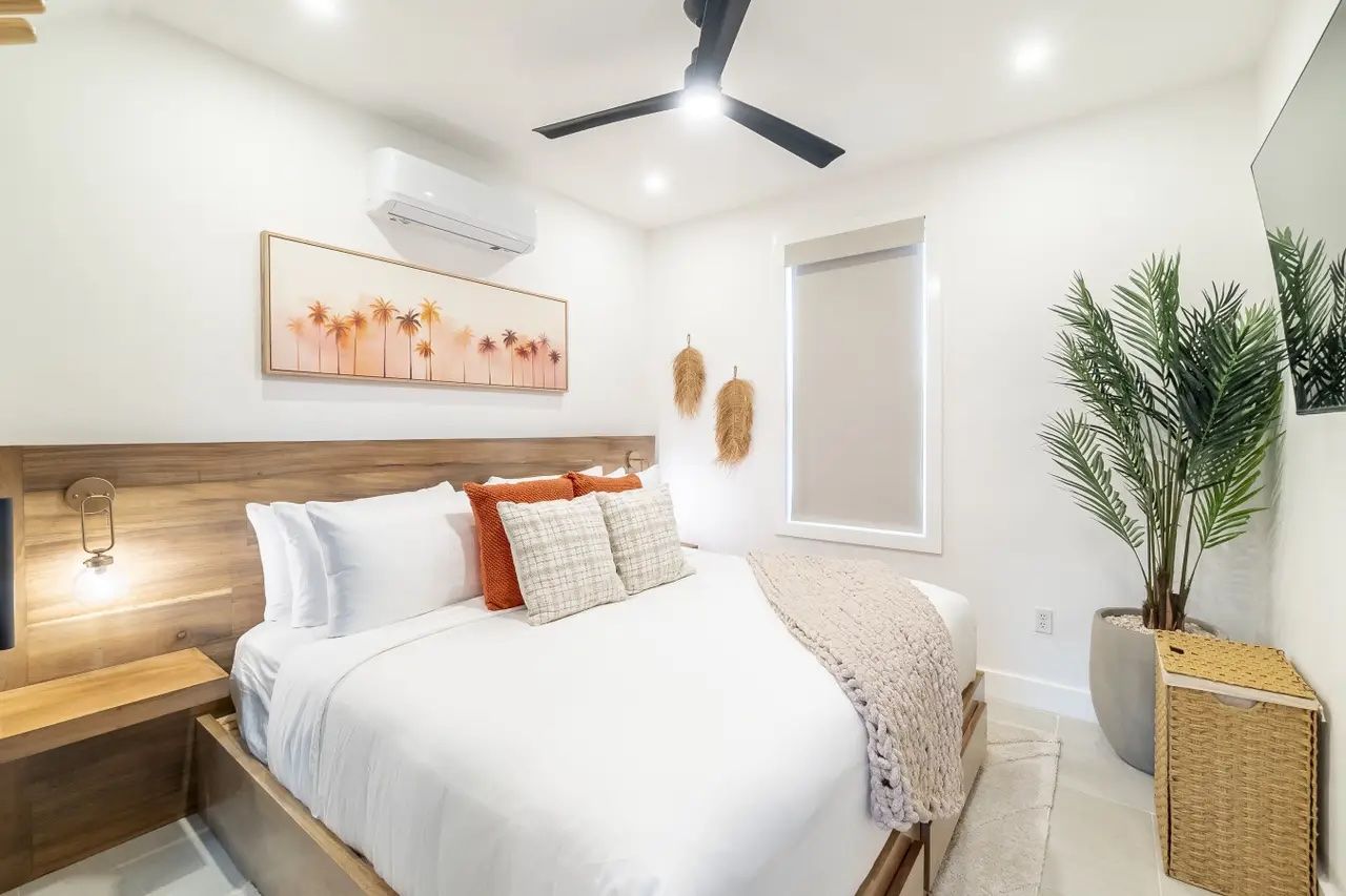 Palms 29