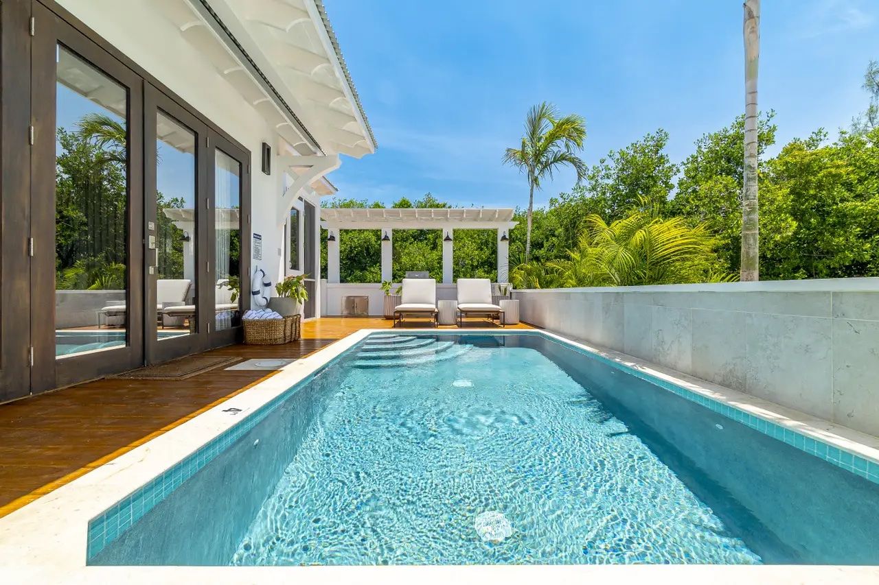 Palms 40