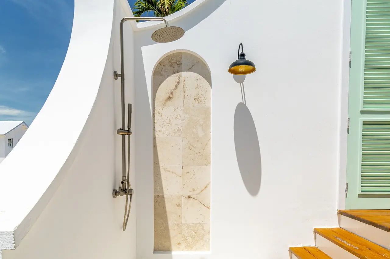 Palms 52