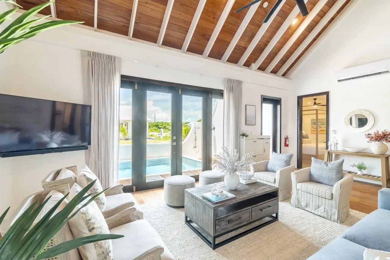 Palms 53