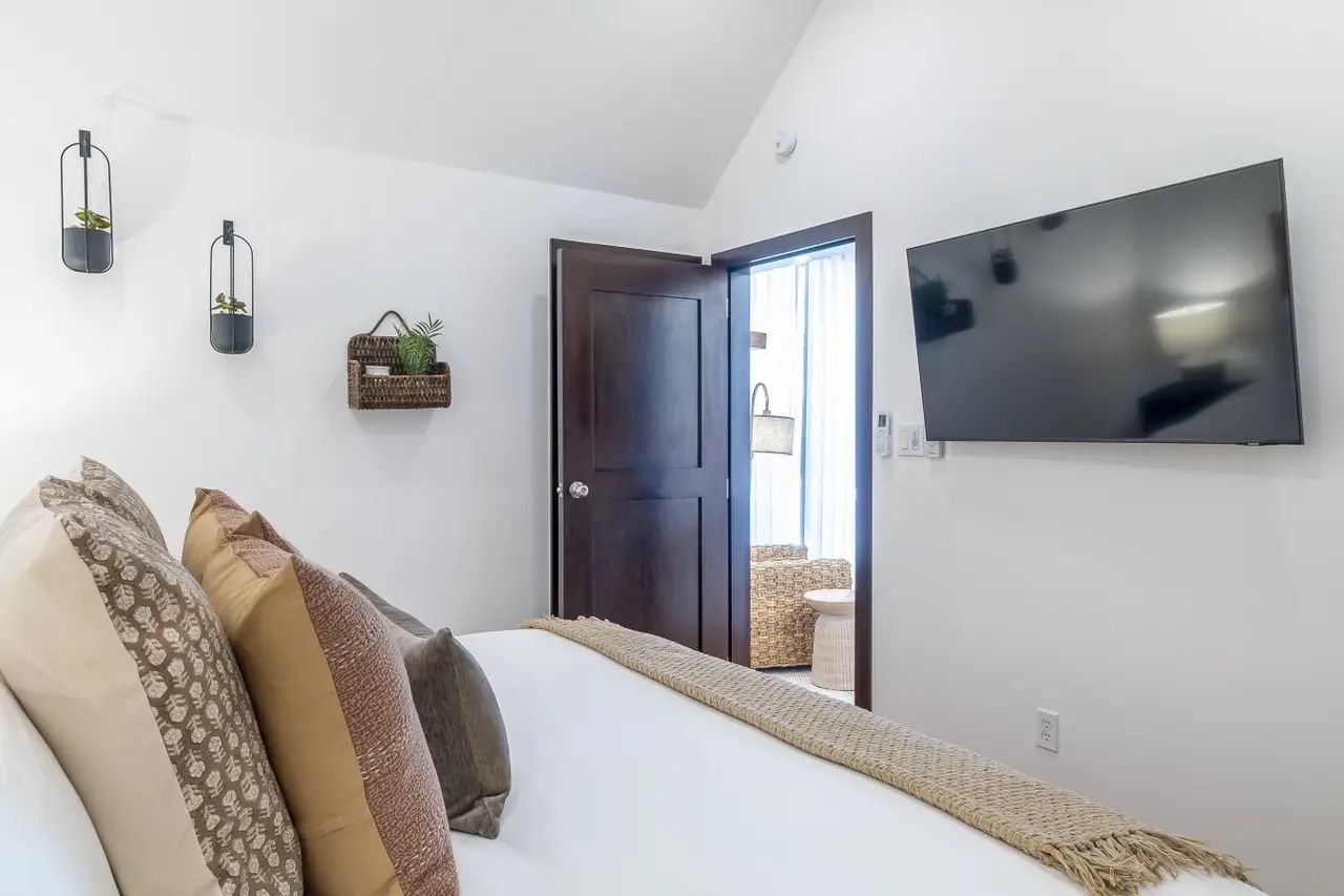 Palms 6