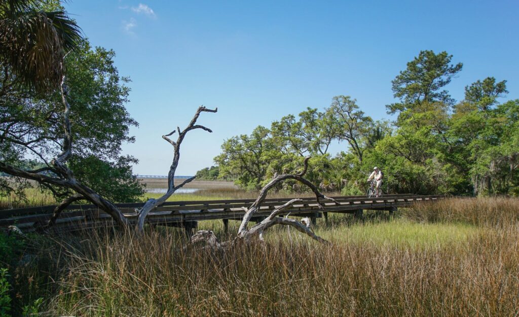 DSC01433-1-SMALL-scaled