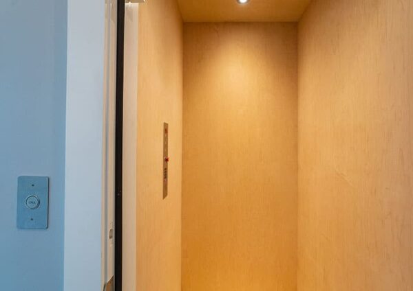 Tabby Park (173112) - Image 22