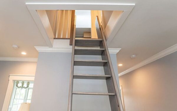 Tabby Park (173112) - Image 38