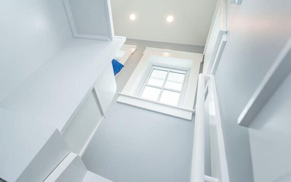 Tabby Park (173112) - Image 39