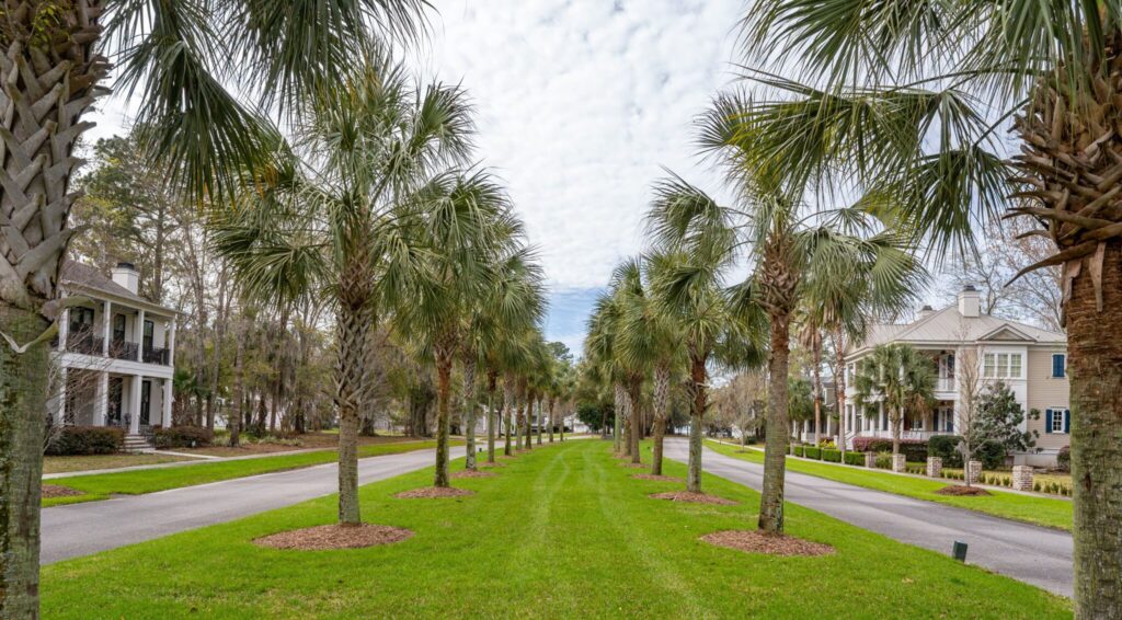 DSC02444-SMALL-scaled