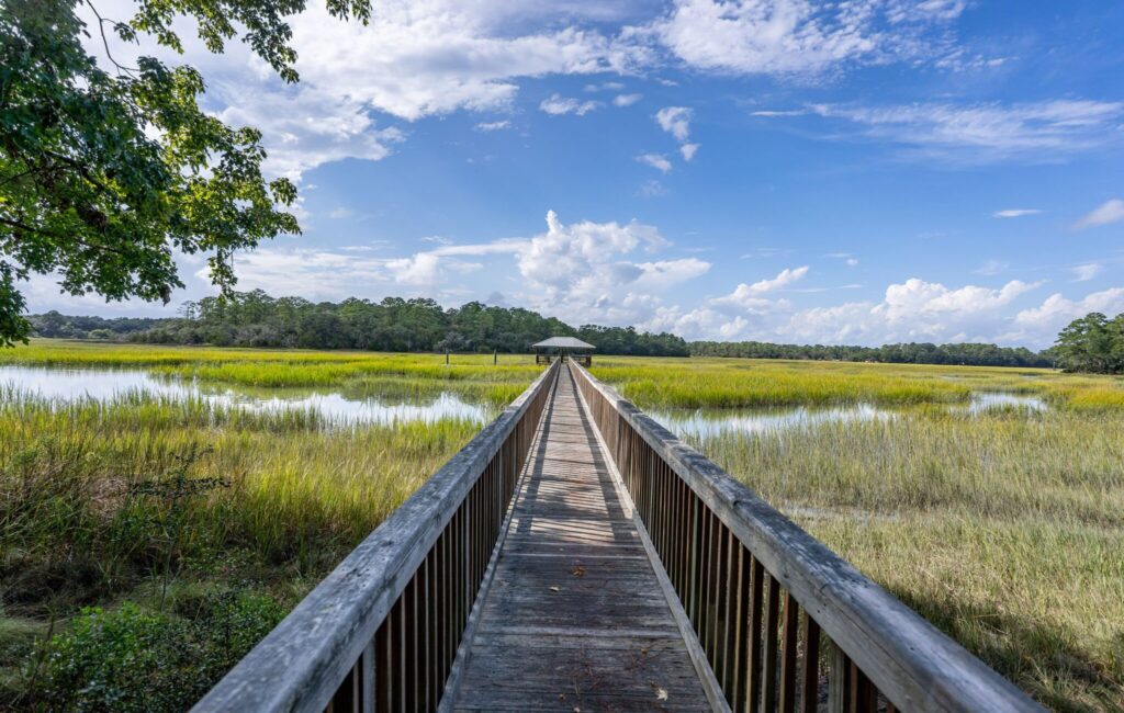 DSC04454-FULL.JPG-SMALL-scaled