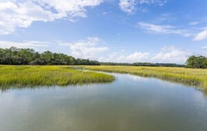 DSC04462-FULL.JPG-SMALL-scaled