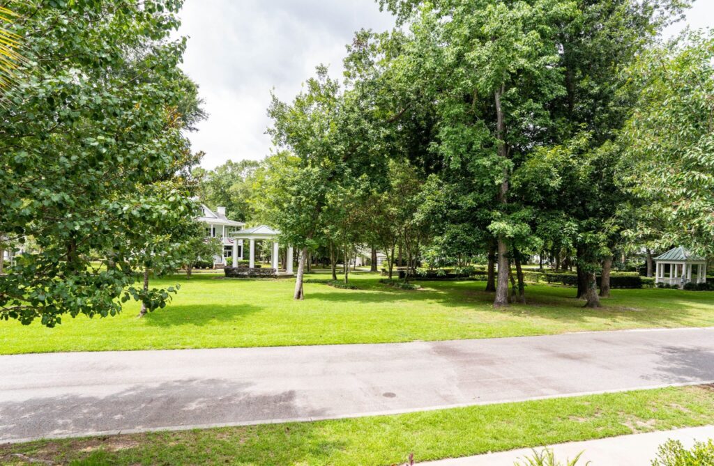 DSC06413-1-SMALL-scaled