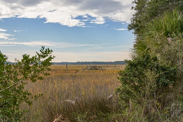 Spring House - Image 5