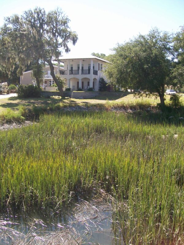 St. Argoe - Image 5