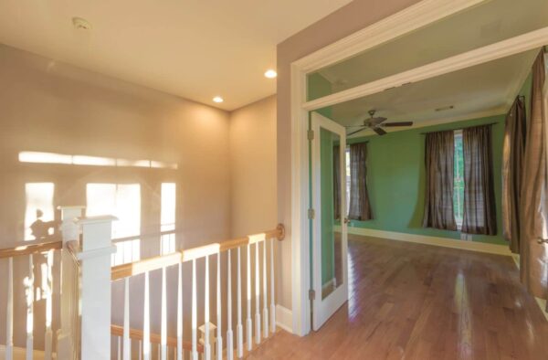 Tabby Park - Image 17