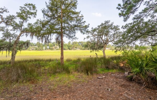 Bermuda Bluff (163149) - Image 76